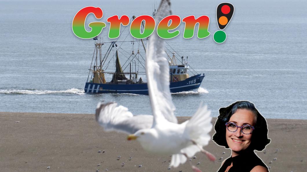 Groen! Nieuwsbrief juni 2020